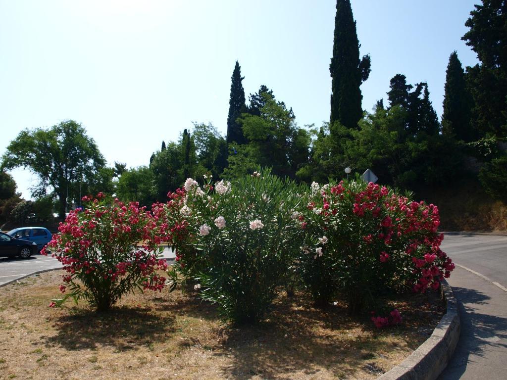 hotel jadran split