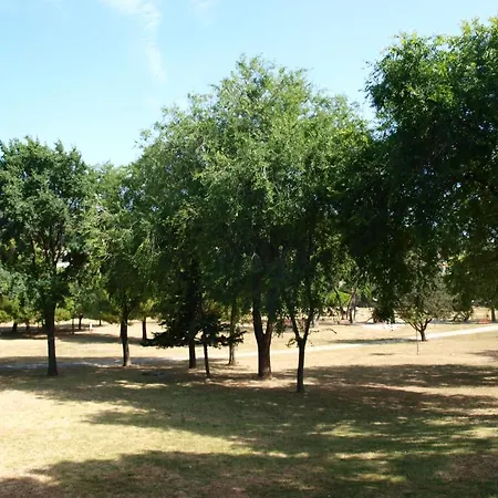 Jadran Apartmán *
