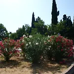 Jadran Apartment