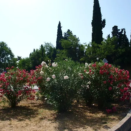Jadran Hotel